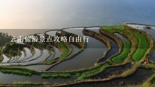 云南旅游景点攻略自由行