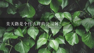 美天路是个什么样的公司阿?