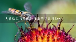 去香格里拉旅游最佳季节是几月份？