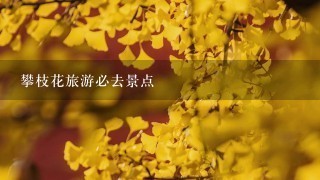 攀枝花旅游必去景点