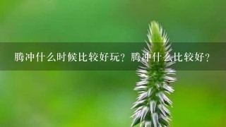 腾冲什么时候比较好玩？腾冲什么比较好？