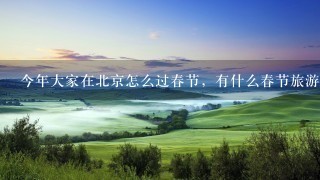 今年大家在北京怎么过春节，有什么春节旅游攻略吗？