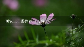 西安三日游路线及花费