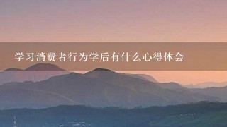 学习消费者行为学后有什么心得体会