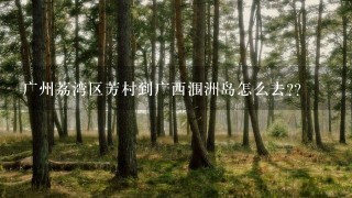 广州荔湾区芳村到广西涠洲岛怎么去?？