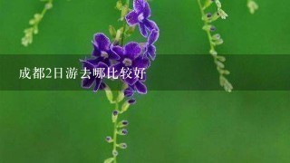 成都2日游去哪比较好