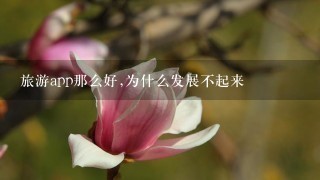 旅游app那么好,为什么发展不起来