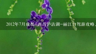 2012年7月成都-西昌泸沽湖-丽江自驾游攻略、路况（要最近的路况），可追加分数，在线等