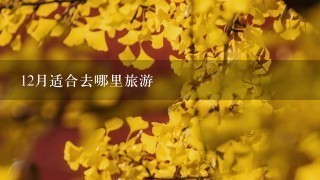 12月适合去哪里旅游