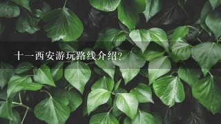 十一西安游玩路线介绍？