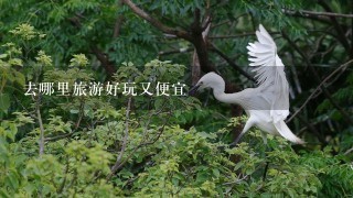 去哪里旅游好玩又便宜