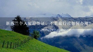 新西兰个人旅游签证，不走旅行社如何办理？