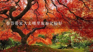 春节带家人去哪里旅游比较好