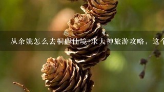 从余姚怎么去桐庐仙境?求大神旅游攻略，这个春节去桐庐可以吗?好玩的地方也求大神们推荐。