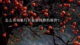 怎么查询旅行社旅游线路的报价？