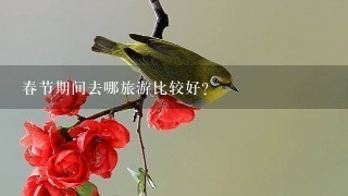 春节期间去哪旅游比较好？