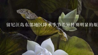 留尼汪岛东部地区降水季节差异特别明显的原因