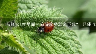 马蜂窝app里面…旅游攻略怎么下载？ 只能收藏啊…找不到下载