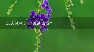 怎么从郴州去香港旅游？