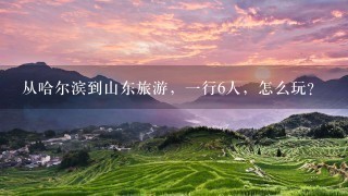 从哈尔滨到山东旅游，一行6人，怎么玩？