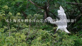 从上海开车到小洋山怎么再到岱山岛旅游？