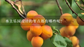 水上乐园设计的要点都有哪些呢？