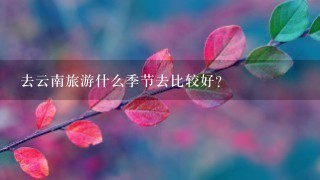 去云南旅游什么季节去比较好?