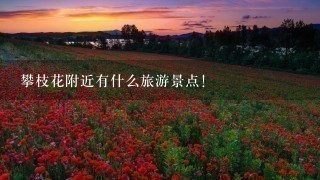 攀枝花附近有什么旅游景点！