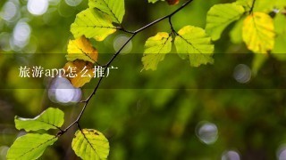 旅游app怎么推广