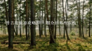 普吉岛旅游攻略2011,都介绍那些东西?