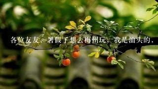 各位友友，暑假了想去梅州玩，我是汕头的，价位最好