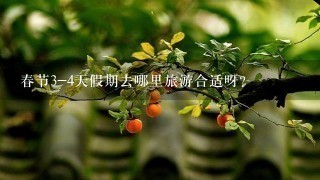 春节3-4天假期去哪里旅游合适呀?