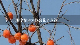 个人去北京旅游大概会花多少钱