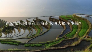 西安旅行团现在去海南双飞大概多少钱?