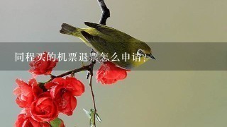 同程买的机票退票怎么申请？