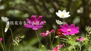 攀枝花市有什么景点？