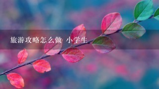 旅游攻略怎么做 小学生