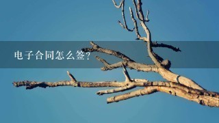 电子合同怎么签？