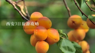 西安3日旅游攻略