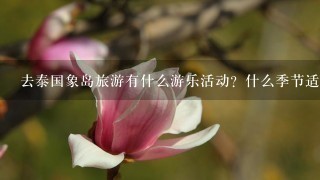 去泰国象岛旅游有什么游乐活动？什么季节适合去