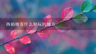 西柏坡有什么好玩的地方