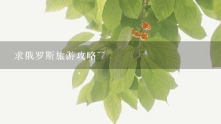 求俄罗斯旅游攻略~~