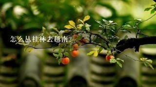 怎么从桂林去越南？