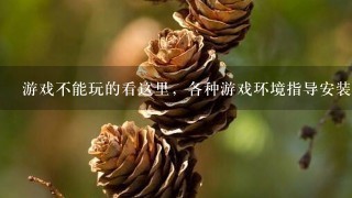 游戏不能玩的看这里，各种游戏环境指导安装大全