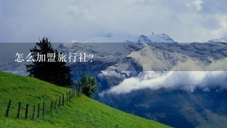 怎么加盟旅行社？