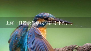 上海一日游最佳路线推荐是什么？