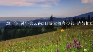 2011年 过年去云南5日游大概多少钱 请帮忙给攻略