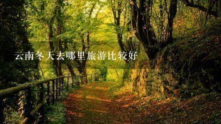 云南冬天去哪里旅游比较好