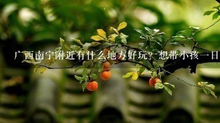 广西南宁附近有什么地方好玩？想带小孩一日游！要不出南宁市的。