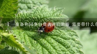 十一准备和同事自费去黄山旅游 需要带什么东西 然后尽量便宜点